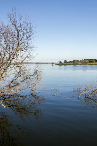 Hermoso lago Alqueva — Foto de Stock