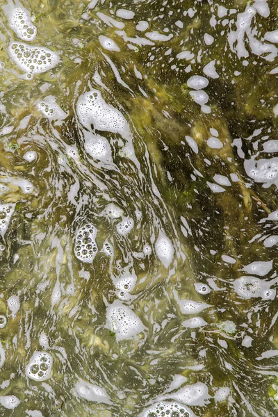 Acqua sporca schiumosa — Foto Stock