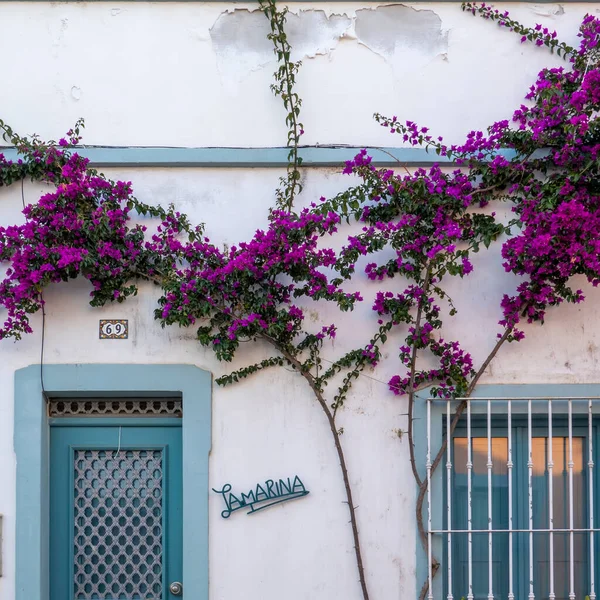 Arhitectura Tipică Clădirilor Stil Vintage Din Algarve Situate Olhao Portugalia — Fotografie, imagine de stoc
