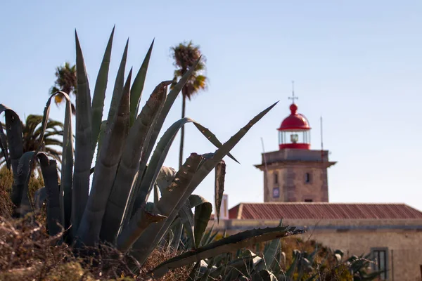 Červený Maják Ponta Piedade Lagos Portugalsko — Stock fotografie