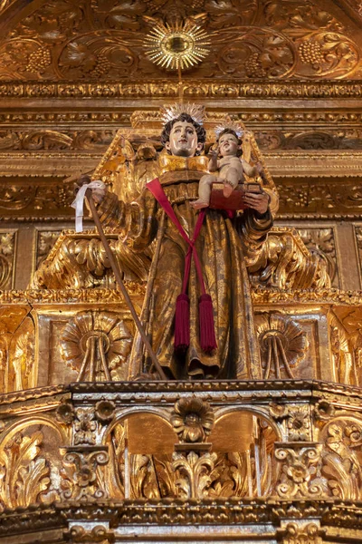 Detalles Exquisitos Del Interior Iglesia San Antonio Ciudad Lagos Algarve —  Fotos de Stock