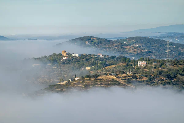 Nebel Morgen Auf Den Hügeln Von Sao Miguel Der Algarve — Stockfoto