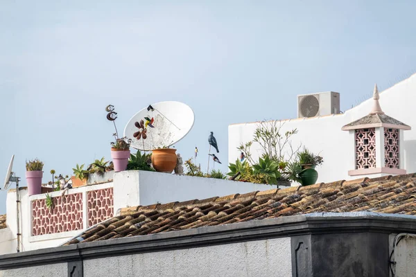 Balcón Con Jarrones Cactus Antena Una Casa Urbana — Foto de Stock