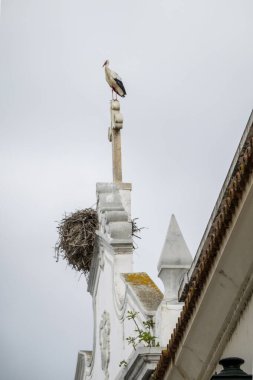 Yuvası kilise tepesinde olan beyaz leylek kuşu Nossa Senhora do Rosario, Olhao, Portekiz.