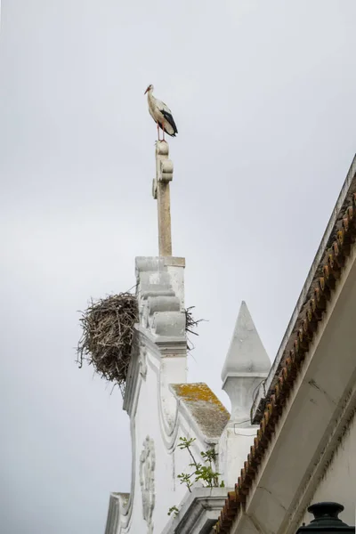Bílý Čáp Hnízdem Vrcholu Kostela Nossa Senhora Rosario Olhao Portugalsko — Stock fotografie