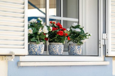 Penceredeki dekoratif sahte çiçek vazolarının görüntüsü.