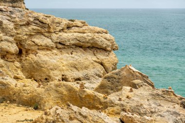 Portekiz 'in Algarve bölgesindeki kıyı şeridi kayalıklarında bulunan elementlerin aşınmasıyla oluşan doğal kum..