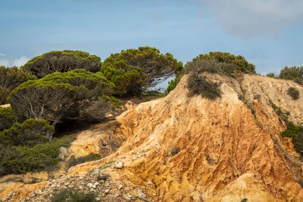 Vacker Utsikt Över Den Portugisiska Kusten Algarve Regionen Nära Stranden — Stockfoto