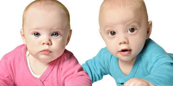 Six month old twin brother and sister — Stock Photo, Image