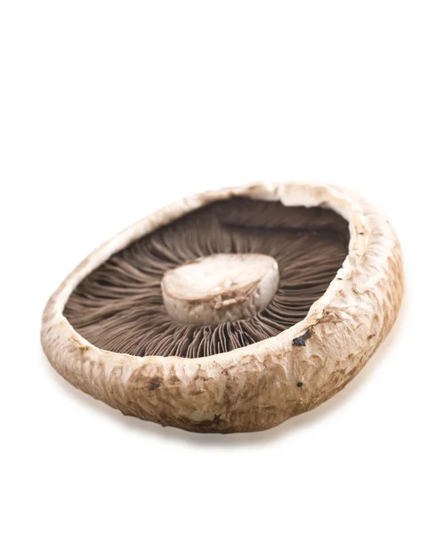 Healthy fresh mushroom on white background Stock Photo