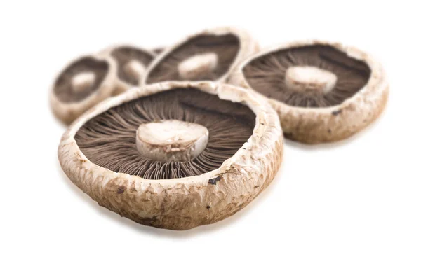 Healthy fresh mushroom on white background Stock Picture