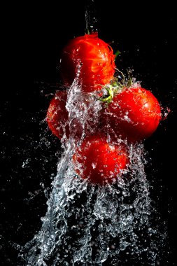 suda yıkanmış kırmızı domates izole üzerinde siyah baclground düşer