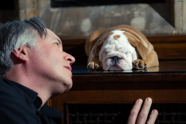 Uomo maturo con un cane inglese bulldog cucciolo — Foto Stock