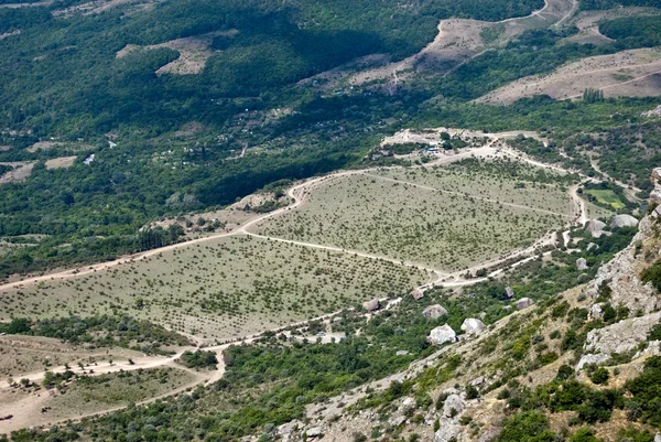 Campi verdi — Foto Stock