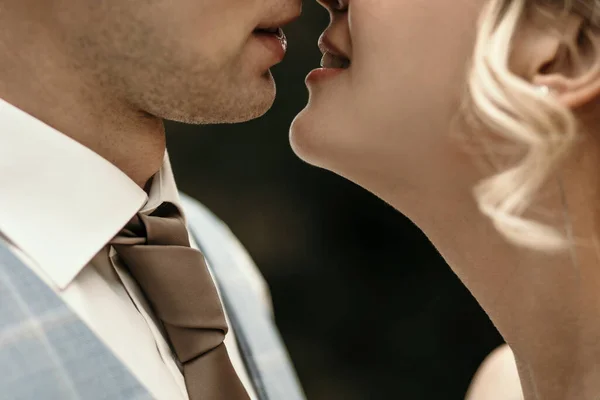 Gelin ve damat düğün sırasında öpüşürler. Gelin ve damadın dudakları ve dudakları öpücüğü bekliyor. Gelinin gelinliği ve damadın klasik takımı.