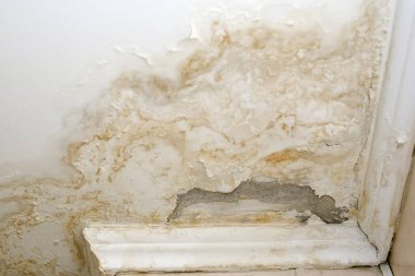 Yağmur mevsiminde yağmur suyu hasarı nedeniyle bir evin tavanının kırılması sorunu. Kirli ve harap olmuş tavan acilen onarılması gerekiyor.