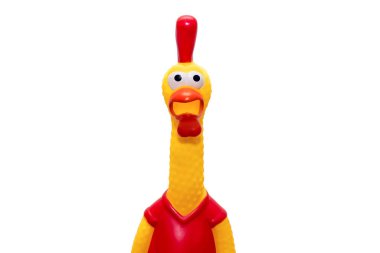 Rubber toy in the form of a rooster on a white background. The funny toy rooster has a surprised and dumbfounded look with its beak open. The toy makes loud noises. Rooster in the center of the frame