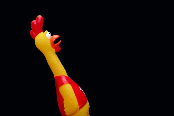 在黑色背景上以公鸡的形式出现的橡胶玩具 这只滑稽的玩具公鸡张开嘴 神色惊讶而呆滞 玩具发出很大的噪音 文件的自由篇幅 — 图库照片