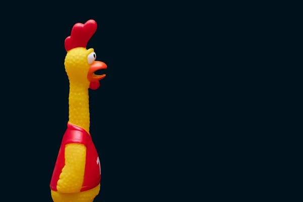 Siyah arka planda bir horoz şeklinde plastik oyuncak. Komik oyuncak horozun gagası açık şaşkın ve şaşkın bir bakışı var. Oyuncak gürültülü sesler çıkarıyor. Metin ve reklamlar için boş alan