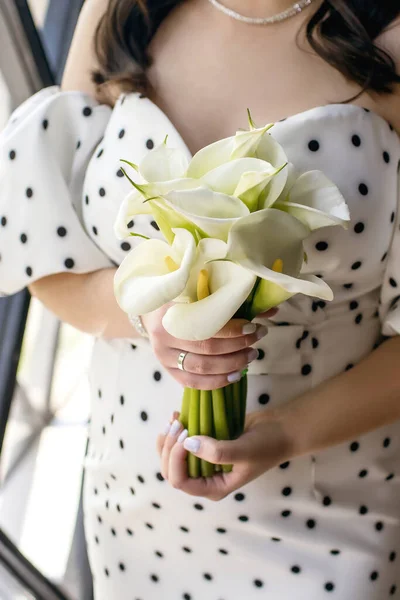 Прекрасный Букет Калл Руках Женщины Крупным Планом Девушка Белом Платье — стоковое фото