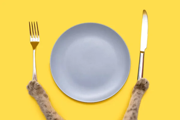 Ένα Γκρι Πιάτο Και Ένα Μαχαίρι Ένα Πιρούνι Κίτρινο Φόντο — Φωτογραφία Αρχείου