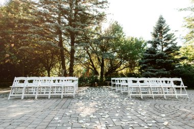 White wooden chairs for guests in the park. Chairs waiting for guests for a wedding ceremony in the open air against the backdrop of trees