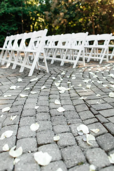 White wooden chairs for guests in the park. Chairs await guests for an open-air wedding ceremony against the backdrop of trees. White rose petals scattered on the floor near the chairs