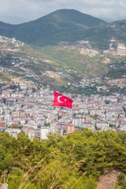 Ağaçlar ve dağlardan oluşan bir arka planda hindi bayrağı. Noel ağaçları