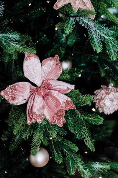 나무의 가지입니다 크리스마스 — 스톡 사진