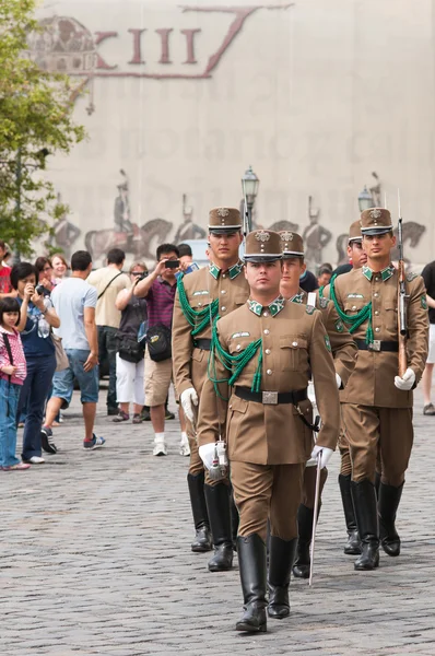 Stráž v prezidentském paláci v Budapešti, Maďarsko. — Stock fotografie