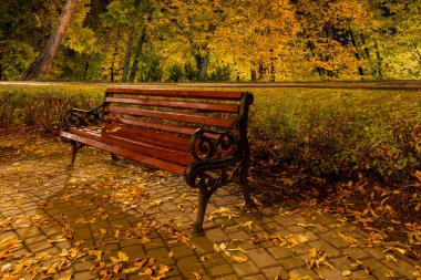 Geceleri sonbahar sezonu boyunca parkta bankta. Sarı turuncu yapraklı ve ılık ışıklı şehir parkındaki gece sahnesi.
