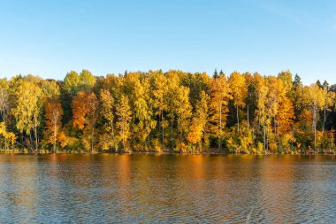 Bir nehrin ya da gölün kıyısındaki renkli sarı portakal ağaçları dalgalı suya yansımaktadır. Berrak mavi gökyüzü ve batan güneşin ışığıyla manzaralı sonbahar manzarası
