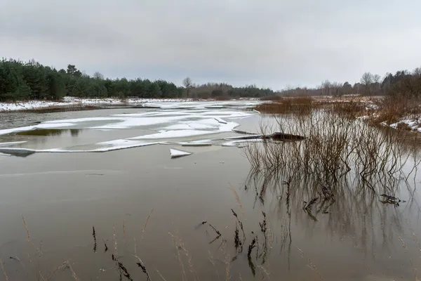 Paysage Hivernal Avec Lac Forestier Une Mystérieuse Forêt Brumeuse Lac — Photo