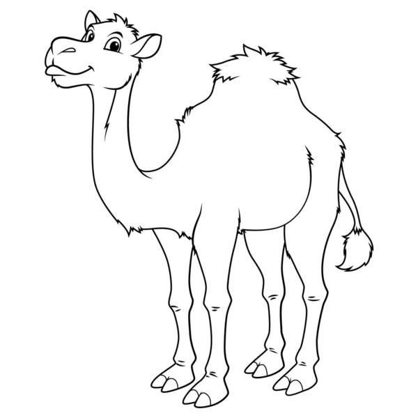 骆驼卡通动物图解Bw — 图库矢量图片