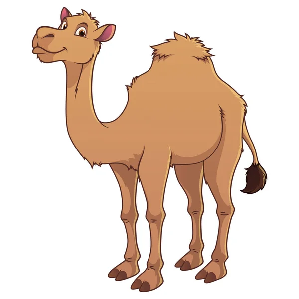 Camel Cartoon Animal Illustration — Stock Vector