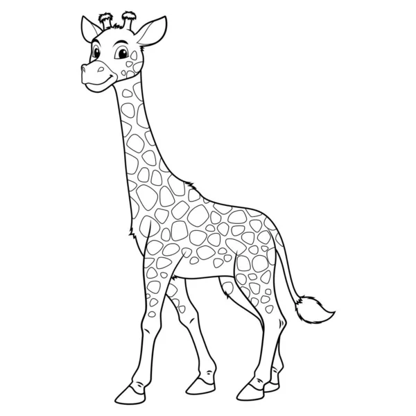 长颈鹿卡通动物图解Bw — 图库矢量图片