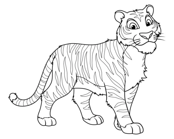 Tiger Cartoon Animal Ilustração — Vetor de Stock