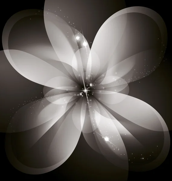 Gwiazda kwiat — Zdjęcie stockowe