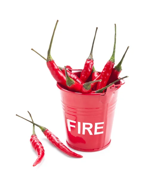 A bucket full of red chili peppers — Stock Photo, Image