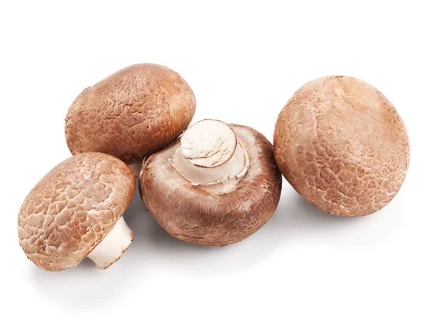 신선한 버섯 champignons 흰색 절연 — 스톡 사진