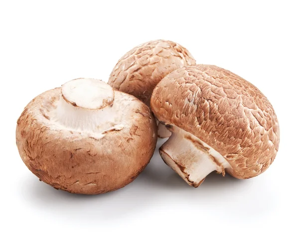 신선한 버섯 champignons 흰색 절연 — 스톡 사진