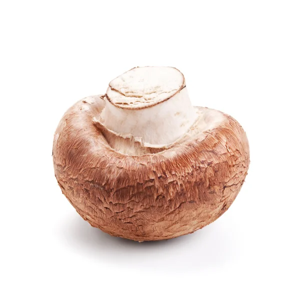 Fresh mushroom champignon isolated on white — Stock Photo, Image