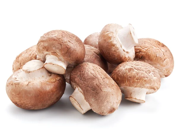 Свежих грибов шампиньонов, изолированные на белом фоне — стоковое фото