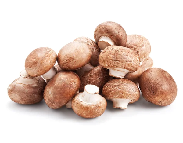 Fresh mushroom champignons isolated on white — Stock Photo, Image