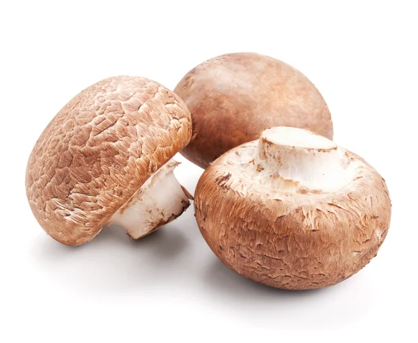 Свежих грибов шампиньонов, изолированные на белом фоне — стоковое фото