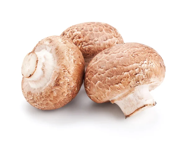 Färsk svamp champignons isolerad på vit — Stockfoto