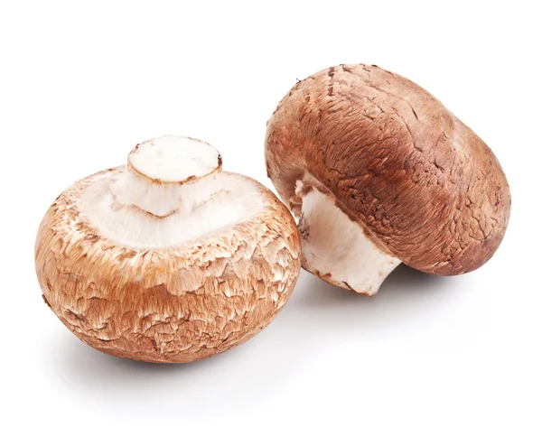 Fresh mushroom champignons isolated on white — Stock Photo, Image