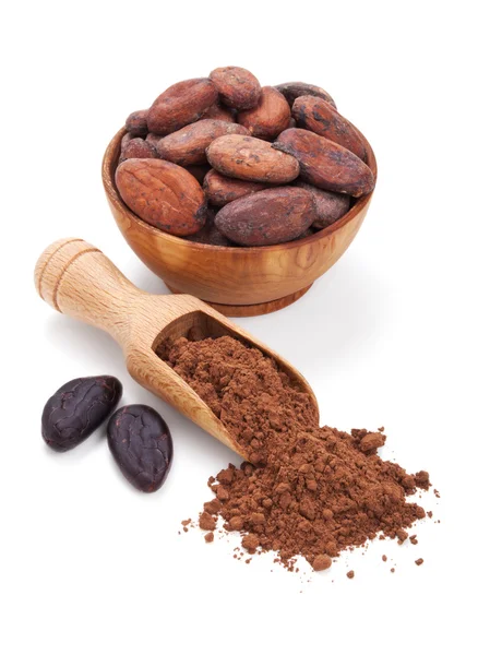 Fèves de cacao et poudre de cacao isolé sur blanc — Photo