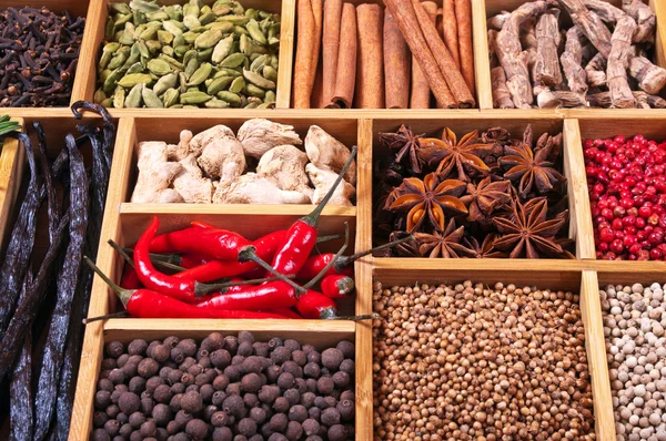 Especias y hierbas en caja de madera — Foto de Stock