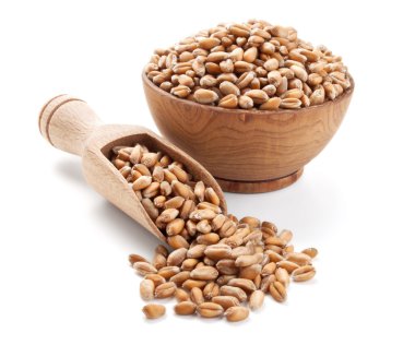 buğday tahıl üzerine beyaz izole bir ahşap kase